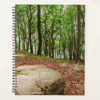 Ruheort Buchenwald Planer