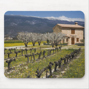 Ruhephase Weinberg, Obstblüten, Steinhaus, Mousepad