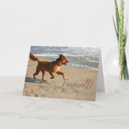 Ruhestand Abschied Laufende Hunde am Strand Karte