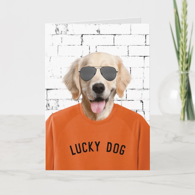 Ruhestand Golden Retriever Karte (Vorderseite)