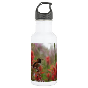 Ruhestand Hummingbird Edelstahlflasche