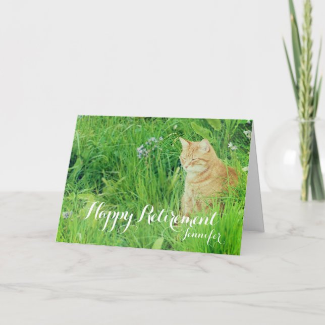 Ruhestandsschlafeningwerkatze in einer Wiese Karte (Vorderseite)
