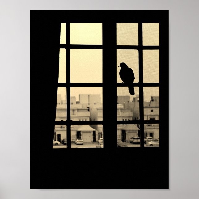 Ruhetaube Poster (Vorne)
