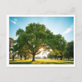 Ruhezeit mit einem großen Baum – Postkarte