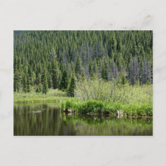 Ruhige Angelteich Postkarte, Winterpark, Colorado Postkarte