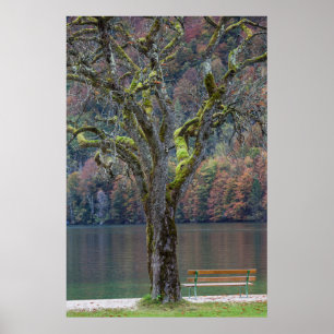 Ruhige Bank am See, Deutschland Poster