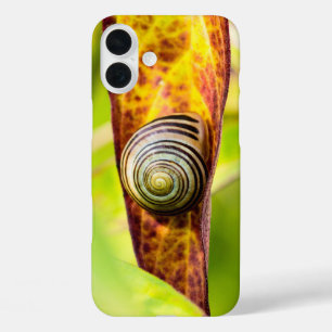 ruhige Befestigung Case-Mate iPhone-Hülle iPhone 16 Plus Hülle