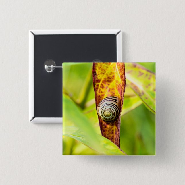 ruhige Bindung Button (Vorne & Hinten)