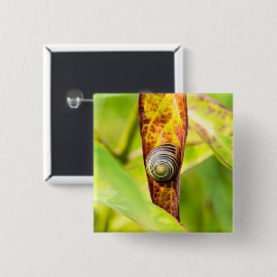 ruhige Bindung Button