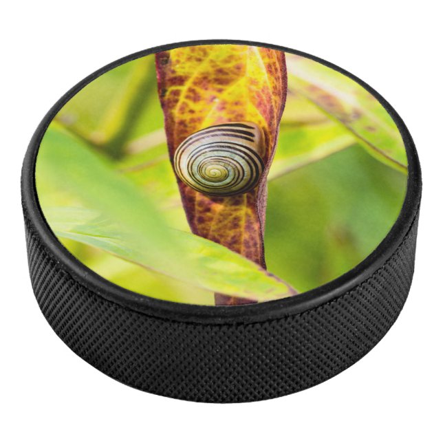 ruhige Bindung Eishockey Puck (3/4)