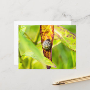 ruhige Bindung Feiertagspostkarte