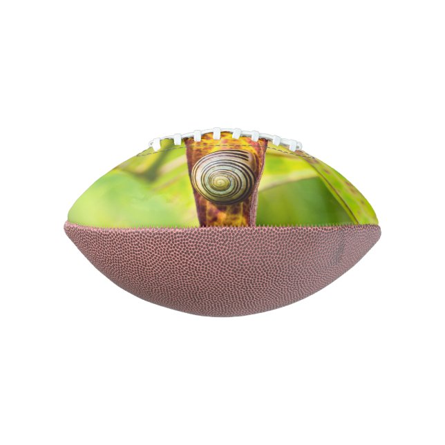 ruhige Bindung Football (Gedreht 90)