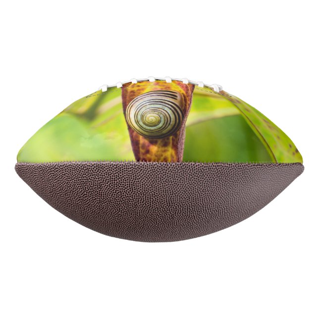 ruhige Bindung Football (Gedreht 270)