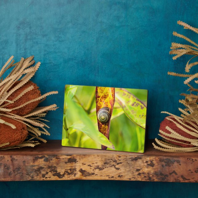 ruhige Bindung Fotoplatte (Seite)