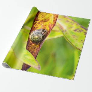 ruhige Bindung Geschenkpapier