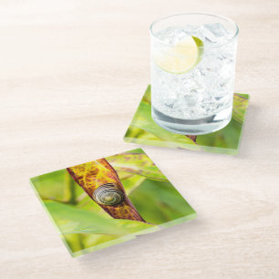 ruhige Bindung Glasuntersetzer