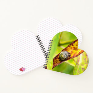 ruhige Bindung Notizbuch