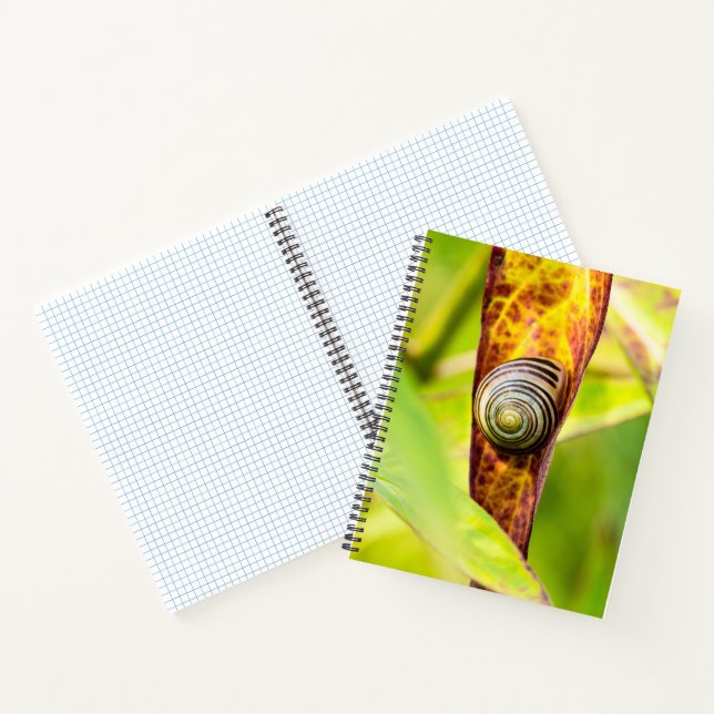 ruhige Bindung Notizbuch (Innenseite)