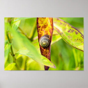 ruhige Bindung Poster