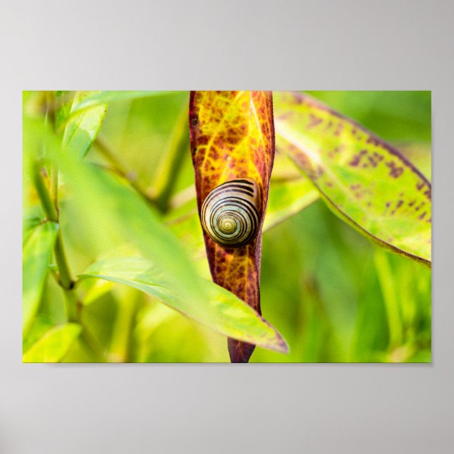 ruhige Bindung Poster (Vorne)