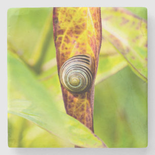 ruhige Bindung Steinuntersetzer