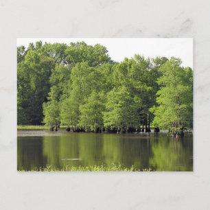 ruhige Cove Postkarte