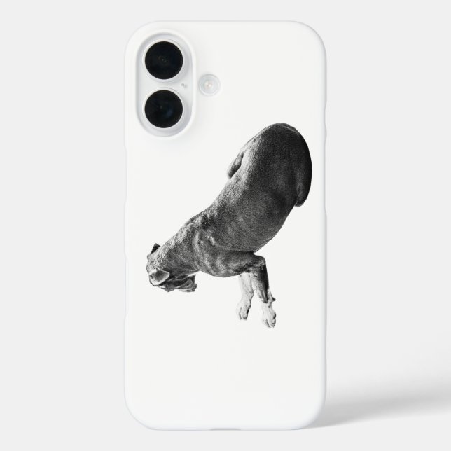 Ruhige Festigkeitsabdeckung iPhone 16 Hülle (Rückseite)