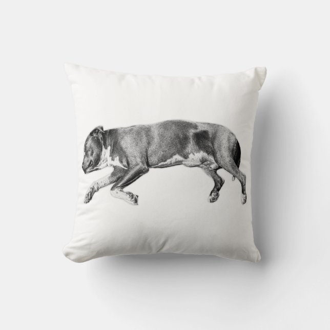 Ruhige Grace - schlummerndes Hound-Portrait Kissen (Vorderseite)