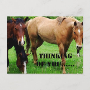 RUHIGE LAGE POSTKARTE