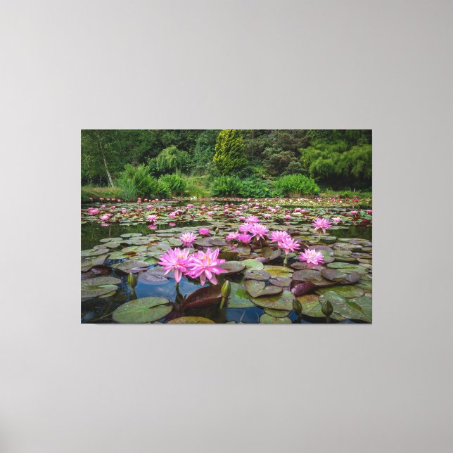Ruhige Reflektionen: rosa Wasserlilien Leinwanddruck (Vorderseite)