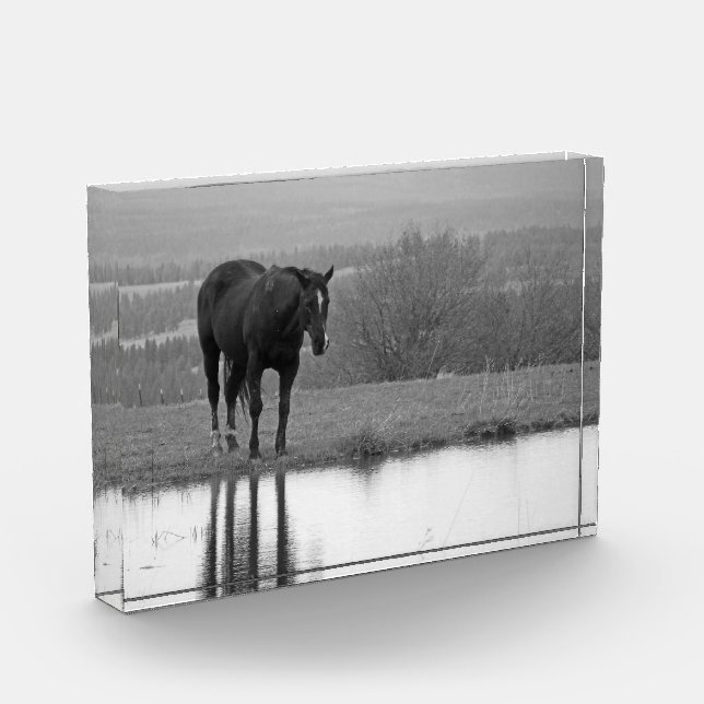 Ruhige Refltektion ~ Foto-Block Fotoblock (Links)