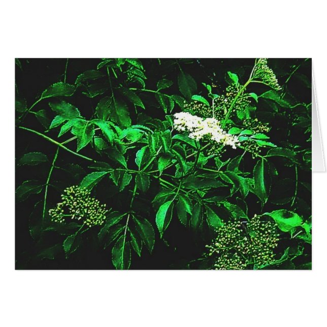 ruhige Ruhe (Vorderseite (Horizontal))