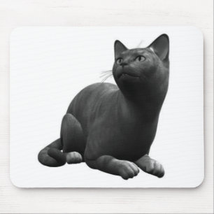 Ruhige schwarze Katzenmauspad Mousepad