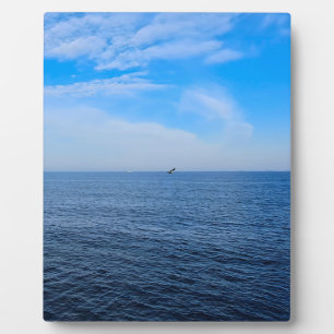 Ruhige Schwarzmeer Rumänien – Möwen Blau Himmel Dr Fotoplatte