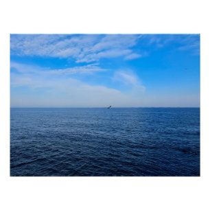 Ruhige Schwarzmeer Rumänien – Möwen Blau Himmel Dr Poster