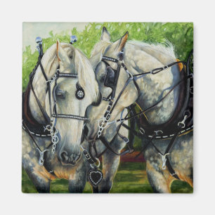 Ruhige Stärke - Percheron Pferdeteam Magnet