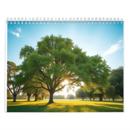 Ruhige Zeit mit einem großen Baum Kalender