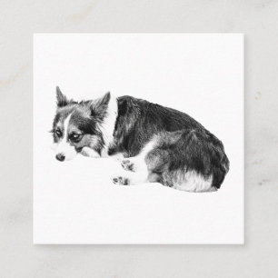 Ruhiger Corgi, sanftes Emblem Quadratische Visitenkarte