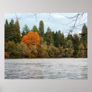 Ruhiger Fluss Poster