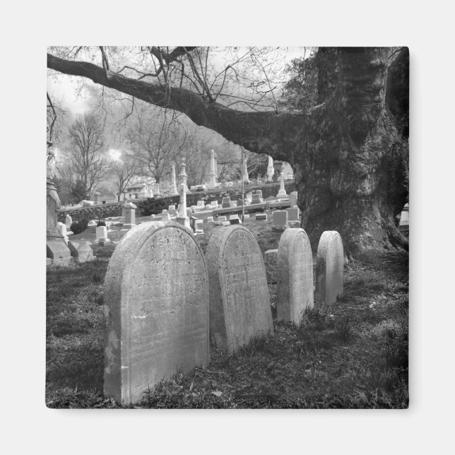 ruhiger Friedhof Magnet (Vorne)