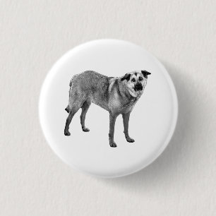 ruhiger Glanz, tibetische Mischung Button