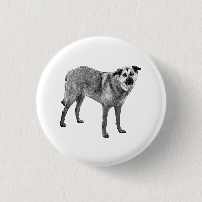 ruhiger Glanz, tibetische Mischung Button (Vorderseite)