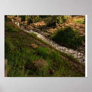 Ruhiger grüner Bach in der Landschaft - Rustikale  Poster