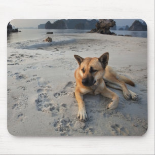 Ruhiger Hund am Strand Mousepad