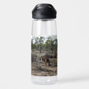 Ruhiger Moment: Australisches Känguru am Billabong Trinkflasche