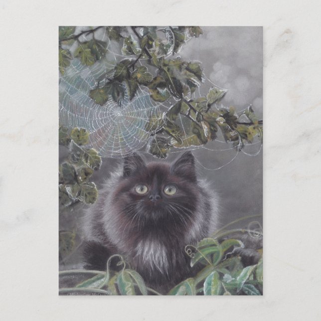 Ruhiger Ort - Katzenpostkarte Postkarte (Vorderseite)