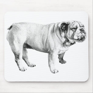 ruhiger Schatten, Bulldogge Mousepad