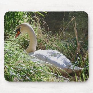 Ruhiger Schwan Mousepad