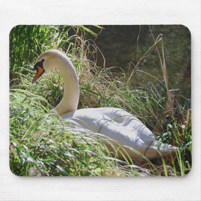 Ruhiger Schwan Mousepad (Vorne)