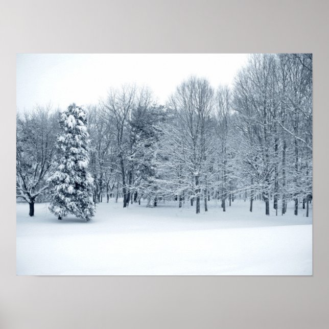 ruhiger Wald Poster (Vorne)